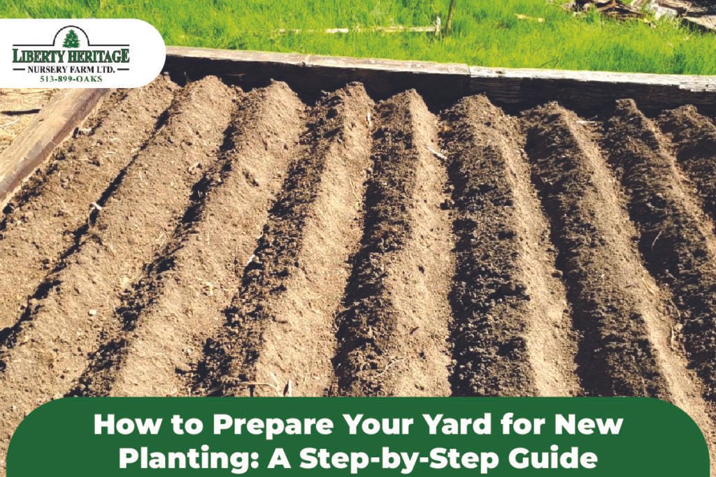Yard Step-by-Step Guide