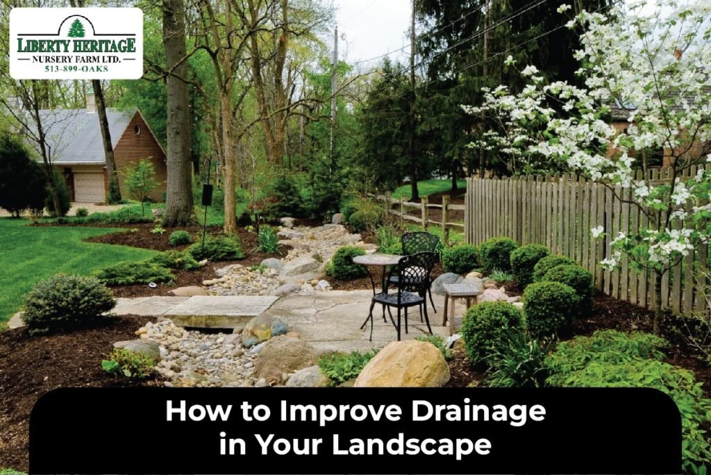 Drainage in Your Landscape