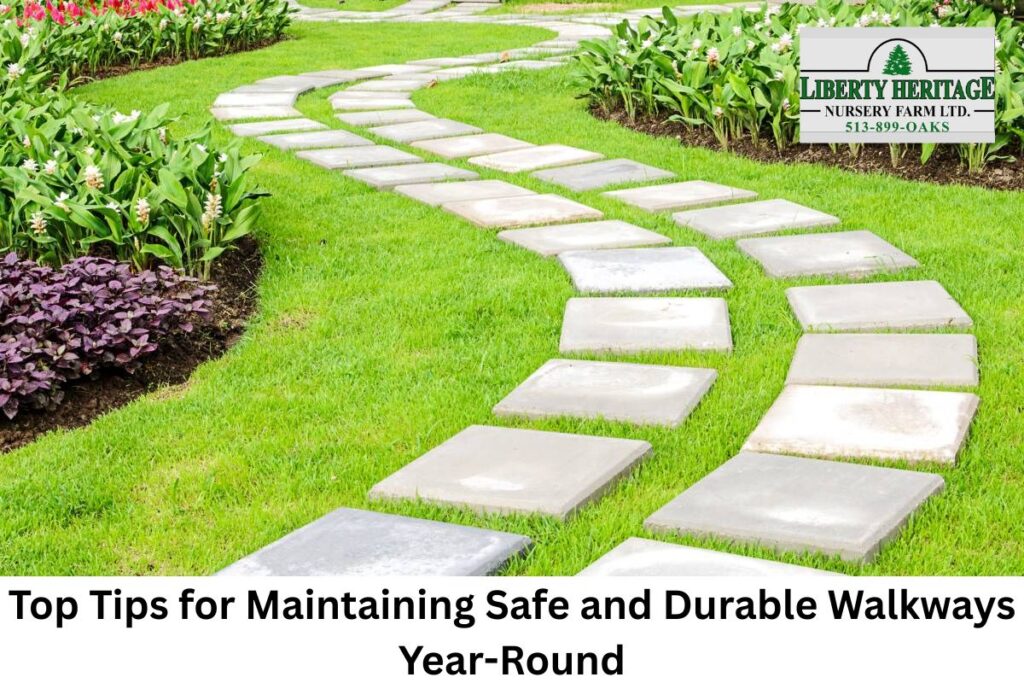 Top Tips for Maintaining Safe and Durable Walkways Year-Round