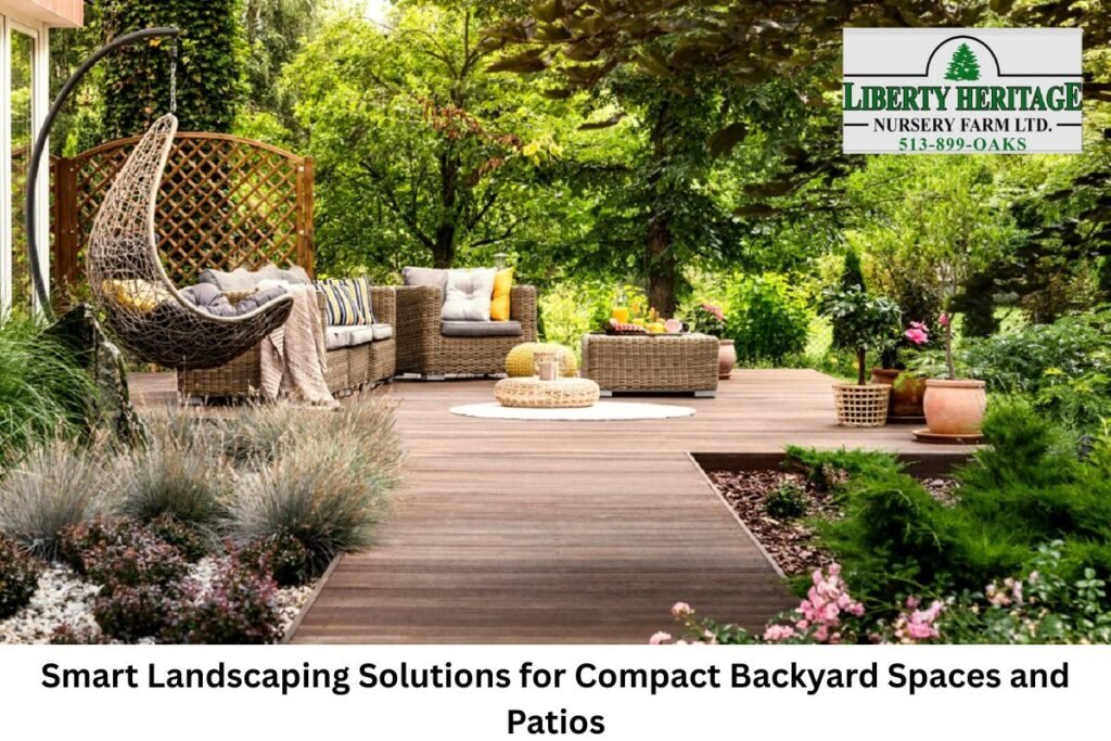 Smart Landscaping Solutions for Compact Backyard Spaces and Patios