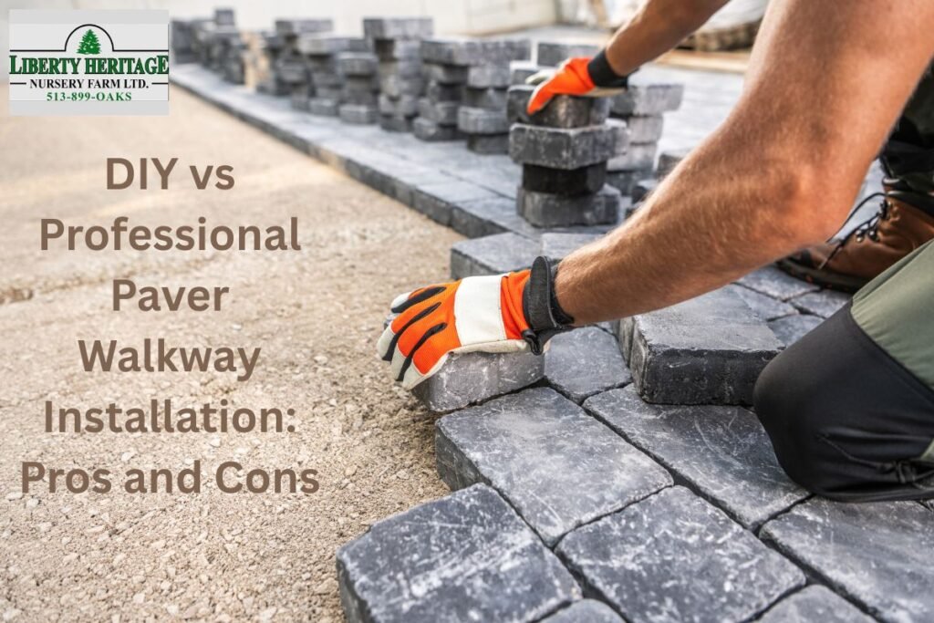 DIY vs Professional Paver Walkway Installation: Pros and Cons