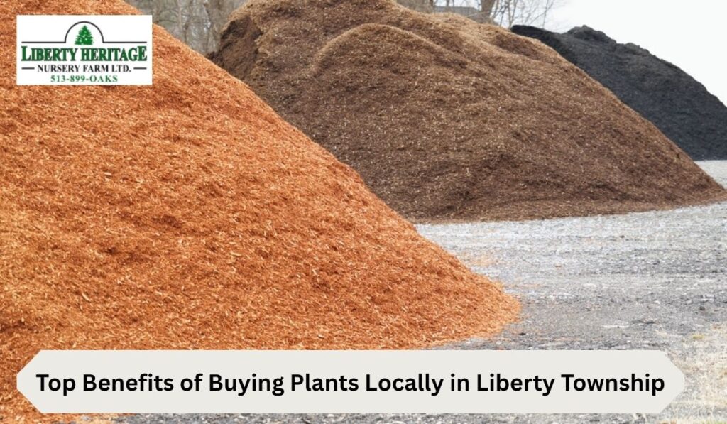 How to Choose the Right Mulch for Your Landscape Guide