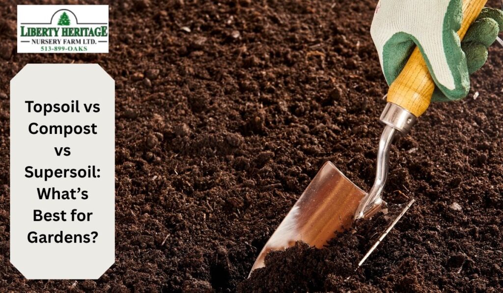 Topsoil vs Compost vs Supersoil: What’s Best for Gardens?