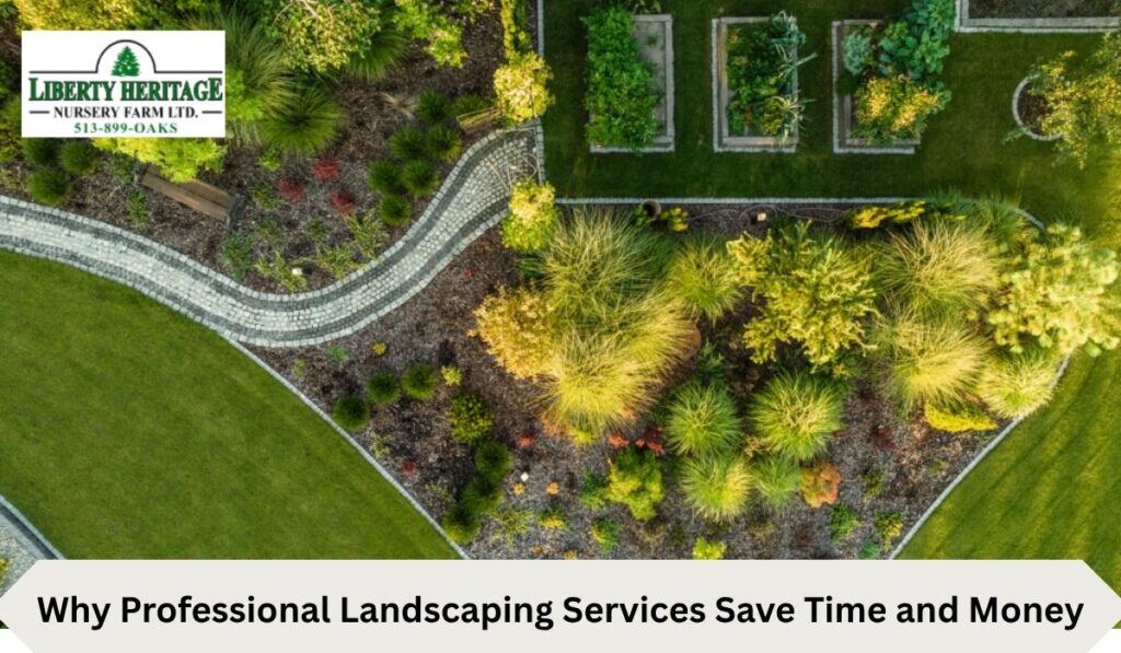 Why Professional Landscaping Services Save Time and Money