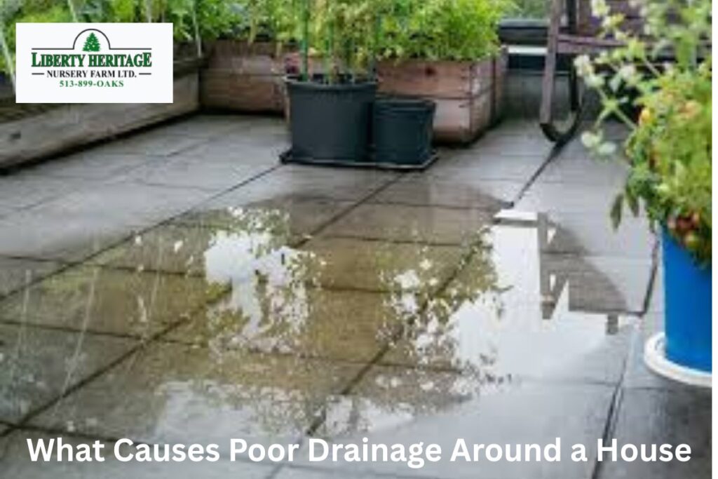 What Causes Poor Drainage Around a House