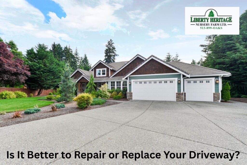 Is It Better to Repair or Replace Your Driveway?