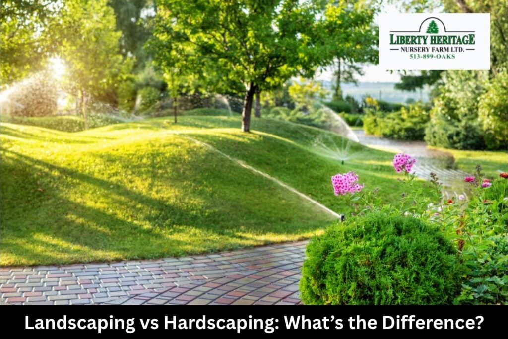 Landscaping vs Hardscaping: What’s the Difference?