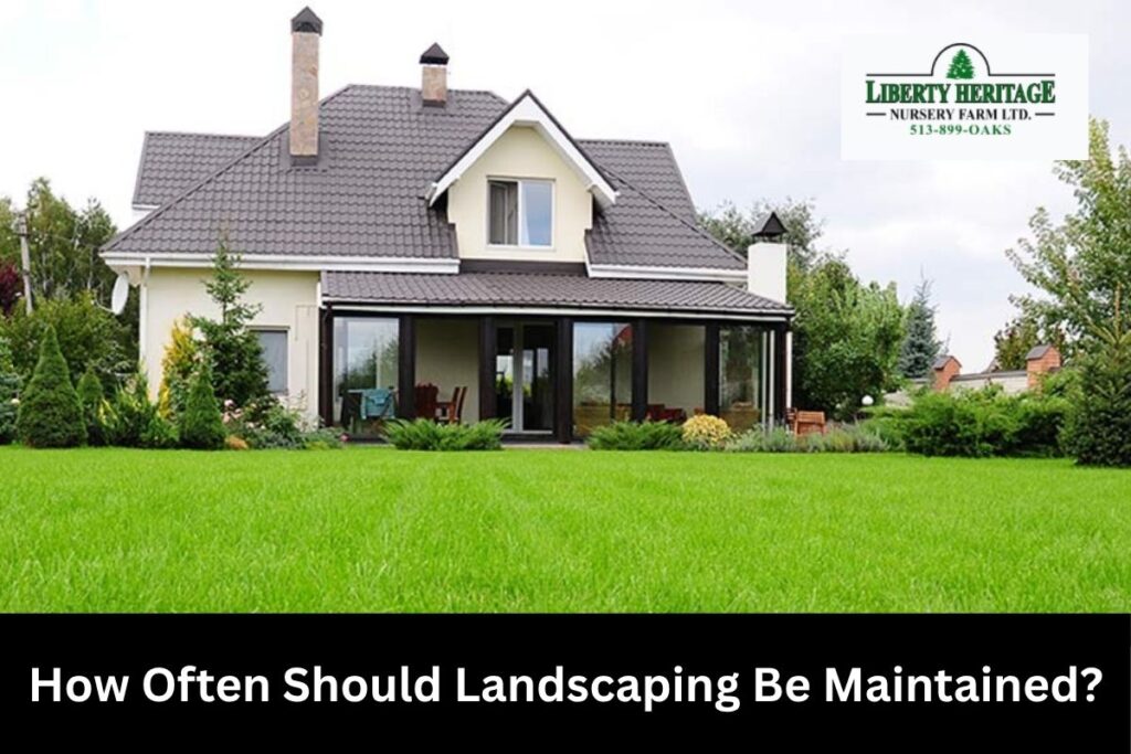 How Often Should Landscaping Be Maintained?