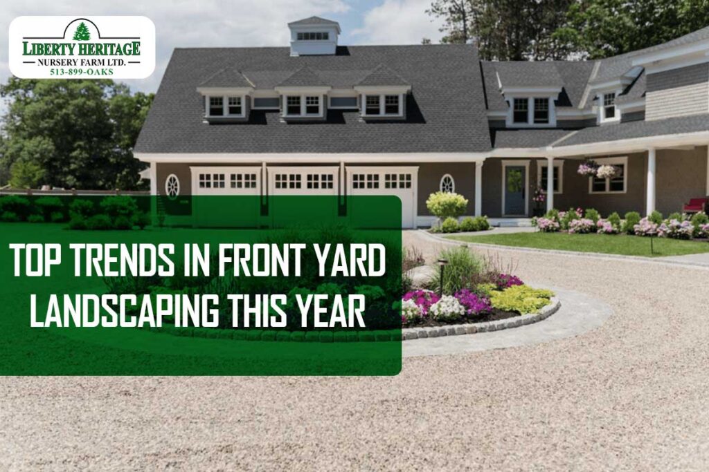 Front Yard Landscaping