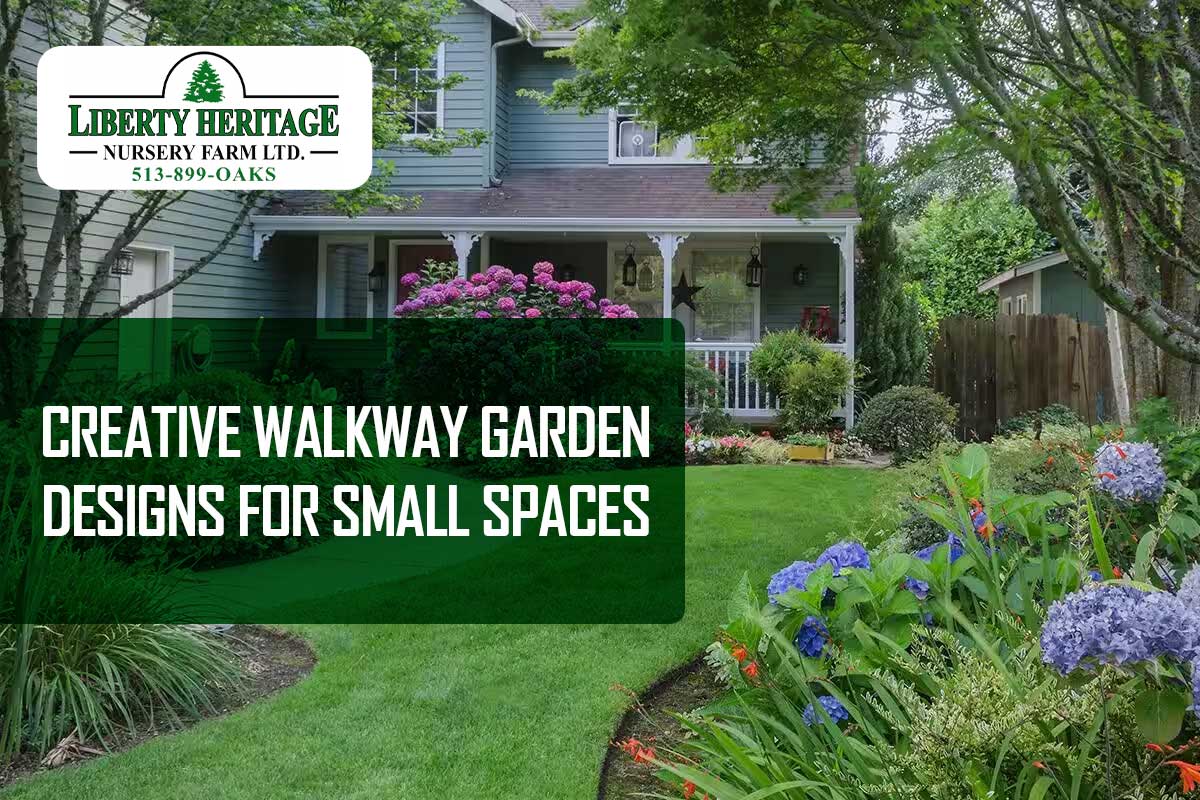 Walkway Garden Designs