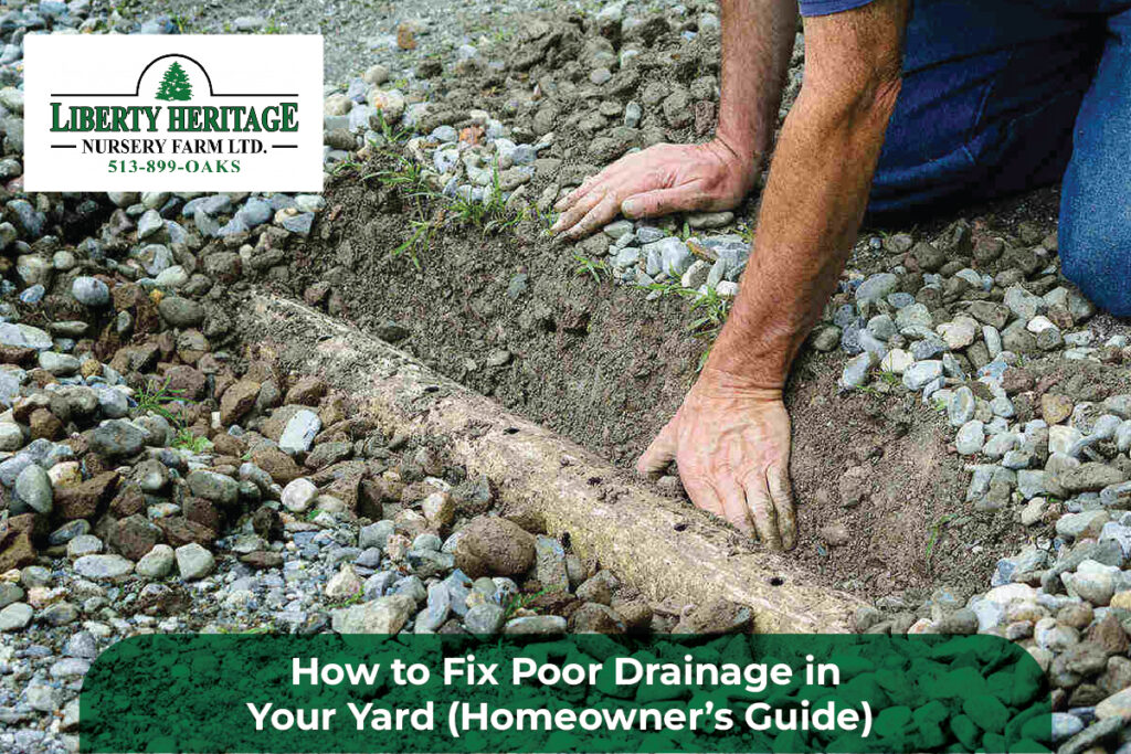 Poor Drainage