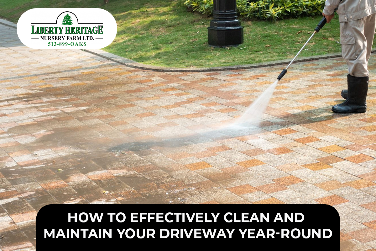 Driveway Year-Round