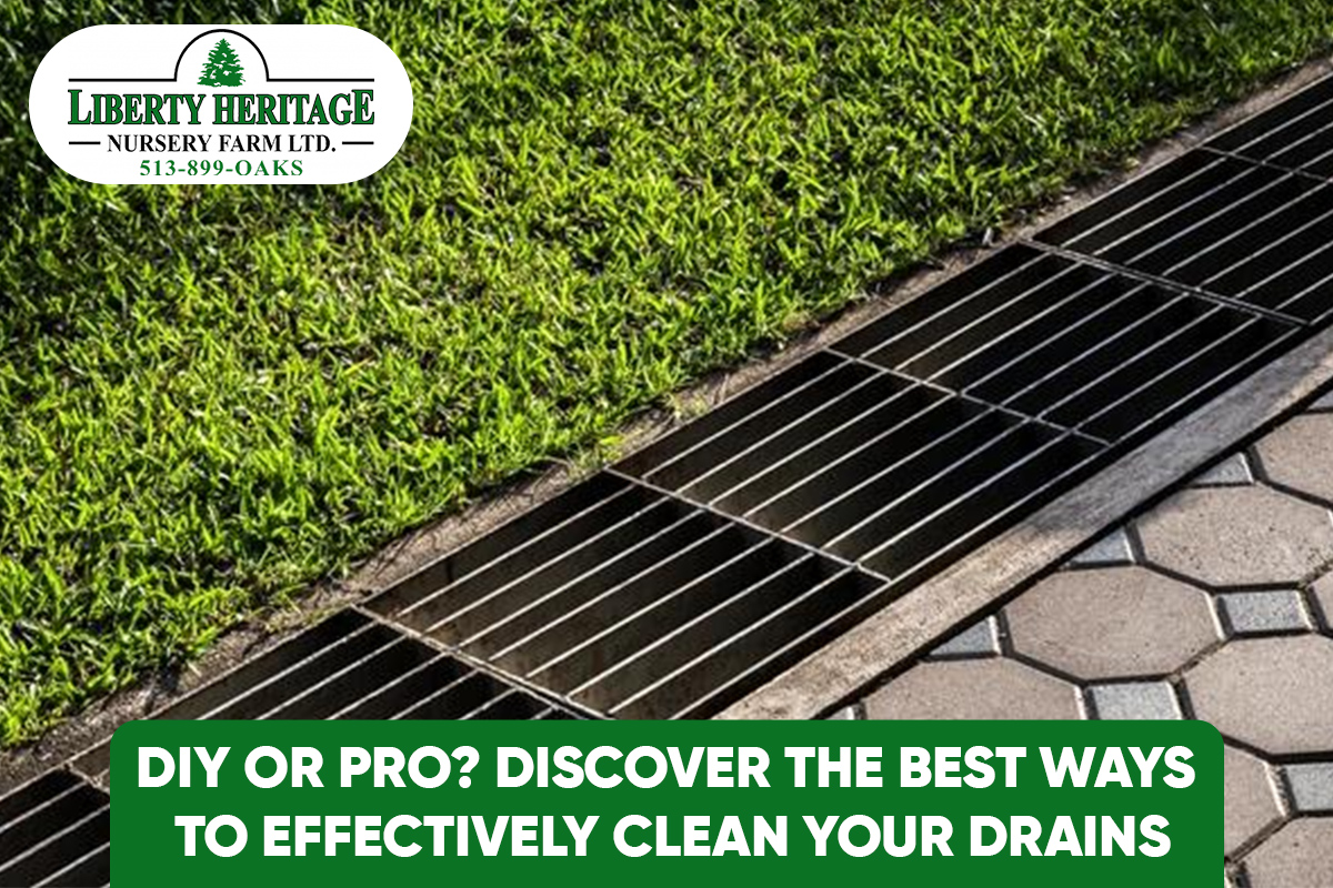 Clean Your Drains
