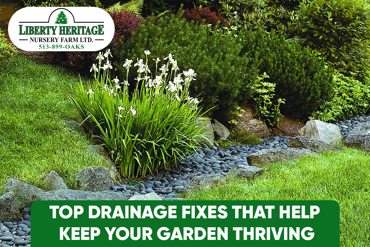Drainage Fixes