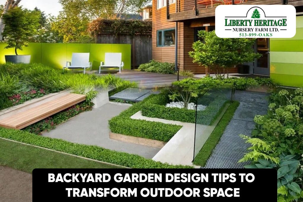 Backyard Garden Design