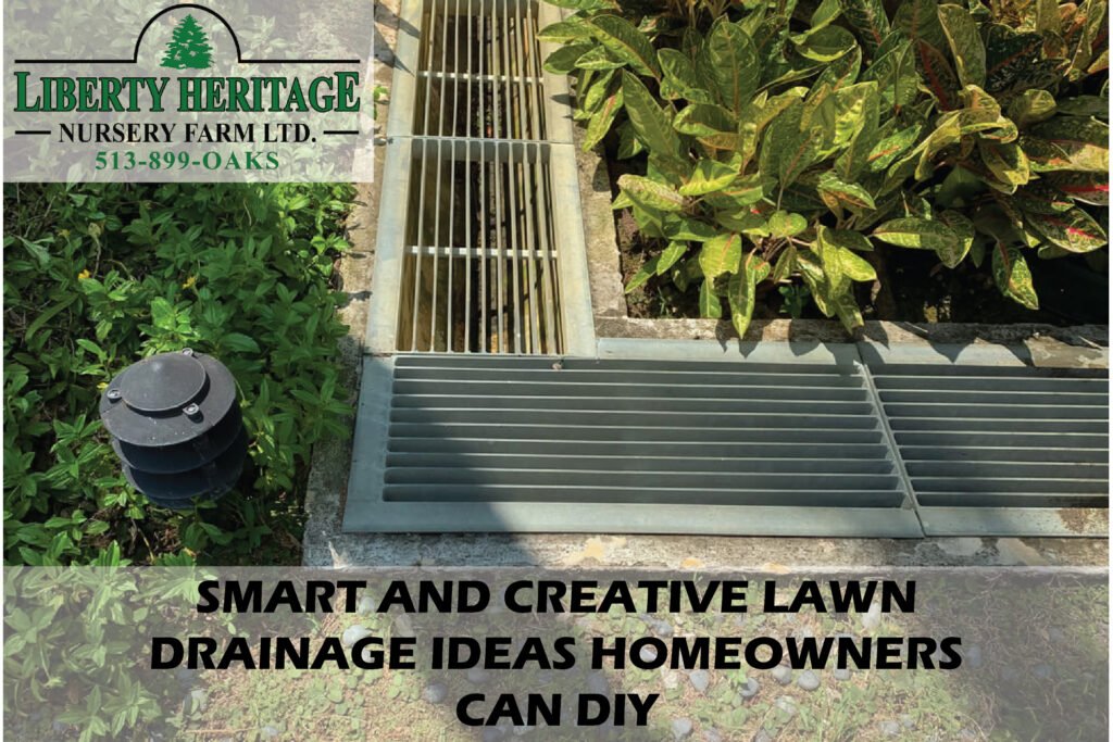 Lawn Drainage
