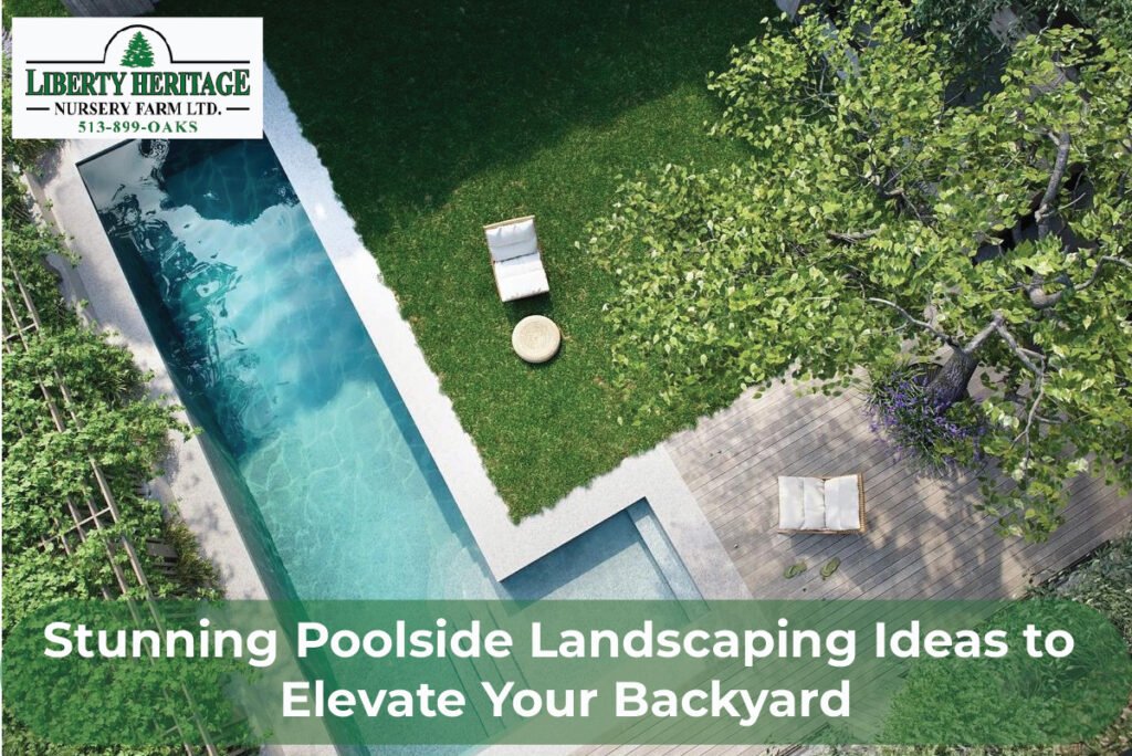 Stunning Poolside Landscaping