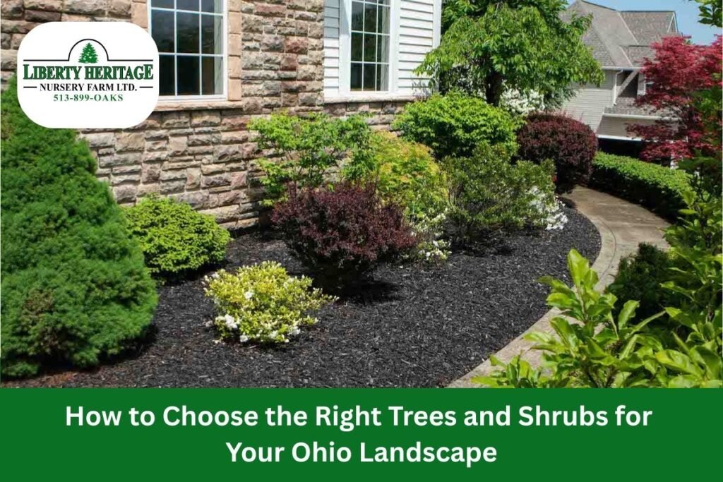 Choose the Right Trees