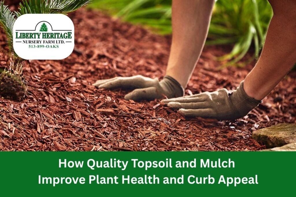 Topsoil and Mulch