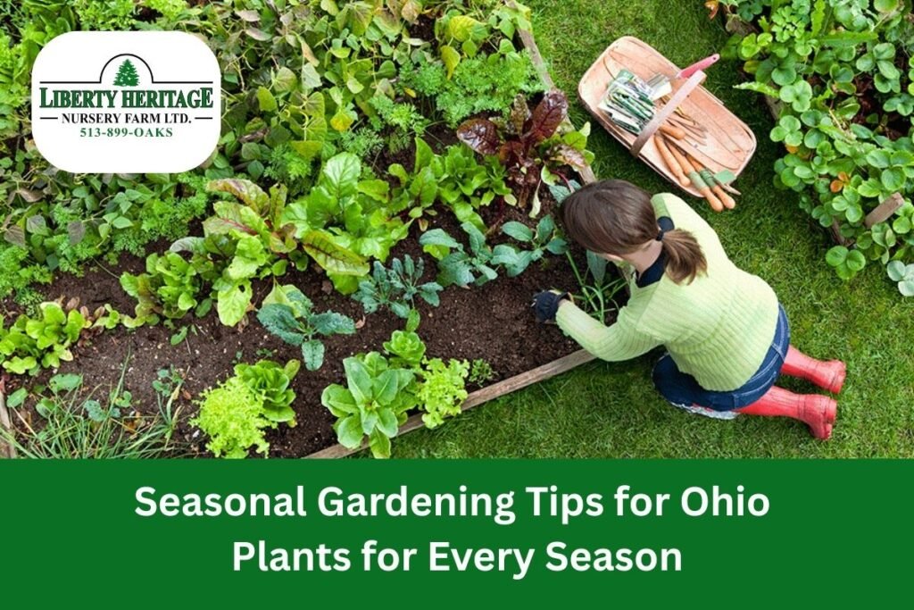Seasonal Gardening Tips