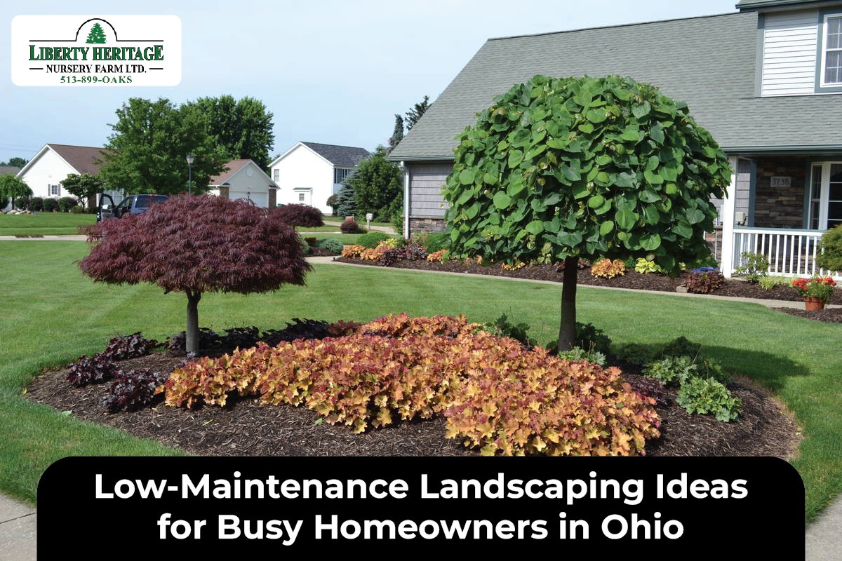 Low-Maintenance Landscaping
