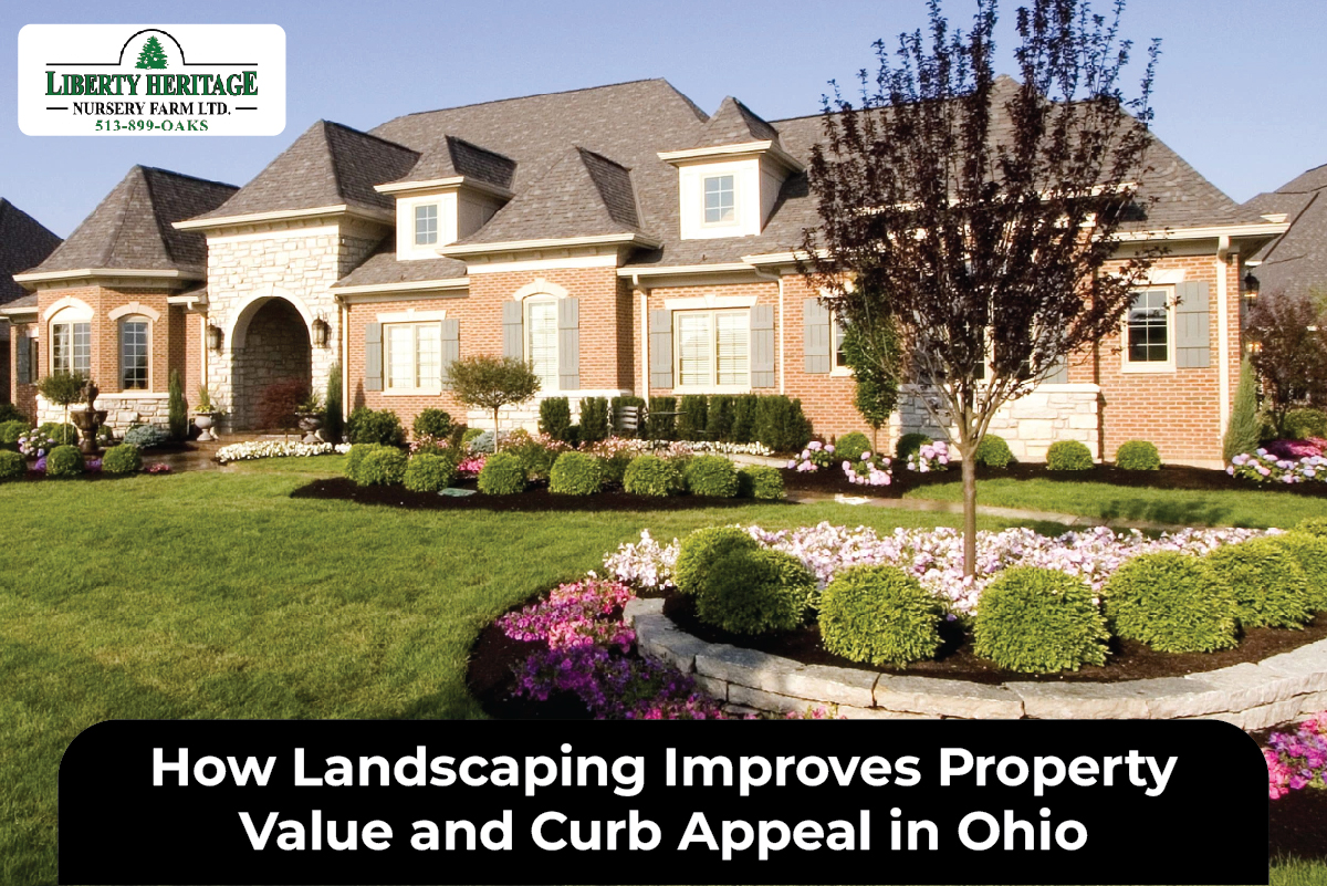 How Landscaping Improves Property Value and Curb Appeal in Ohio ...