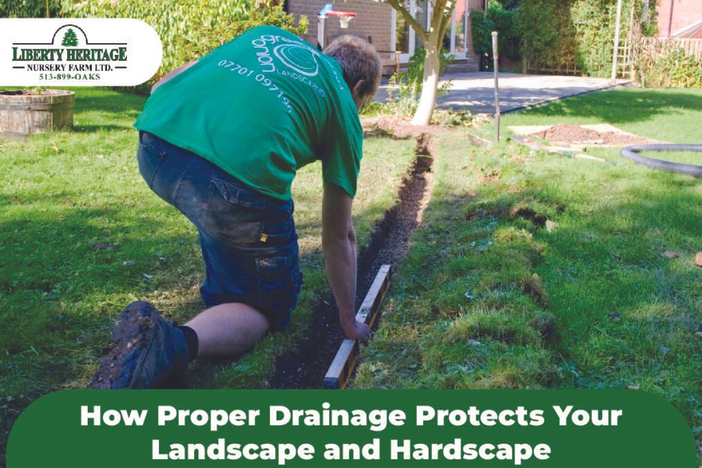 Drainage Protects