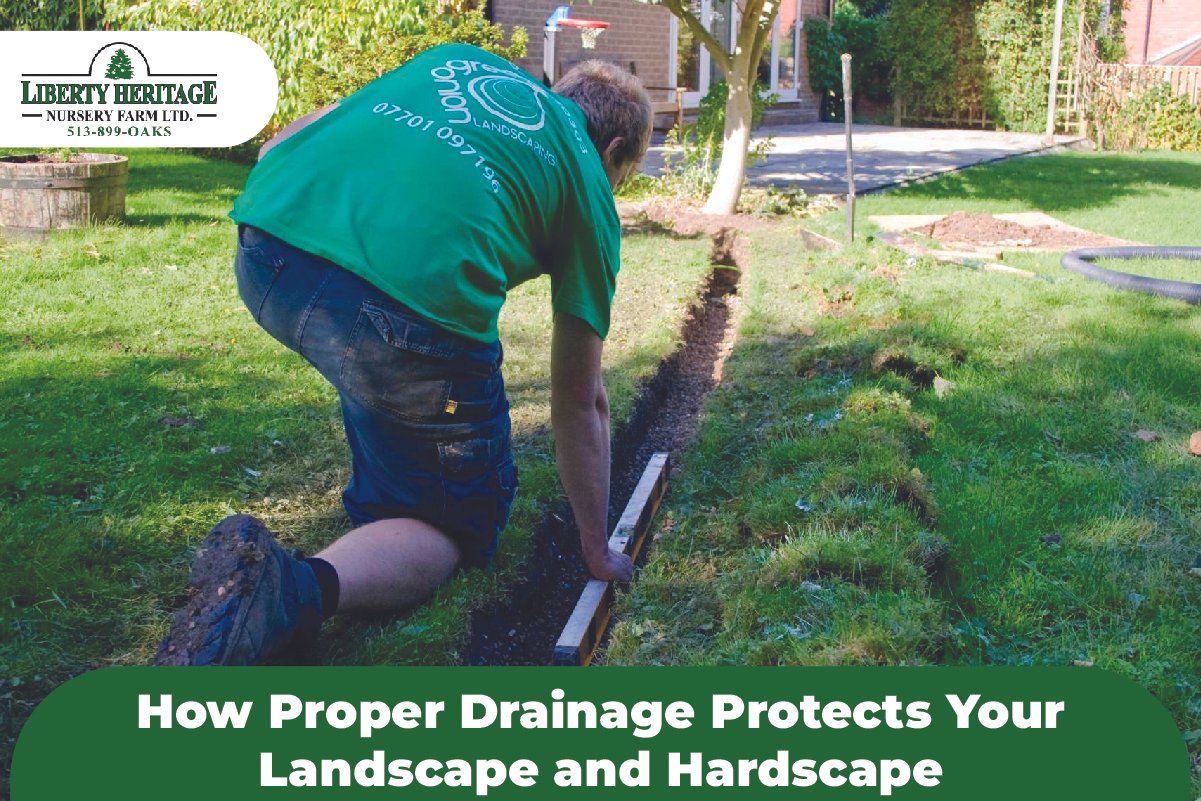 Drainage Protects