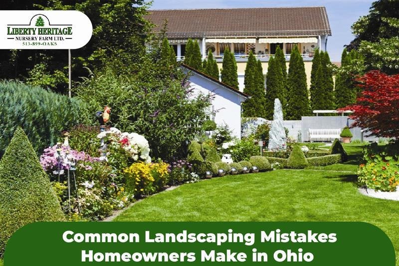 Landscaping Mistakes Homeowners