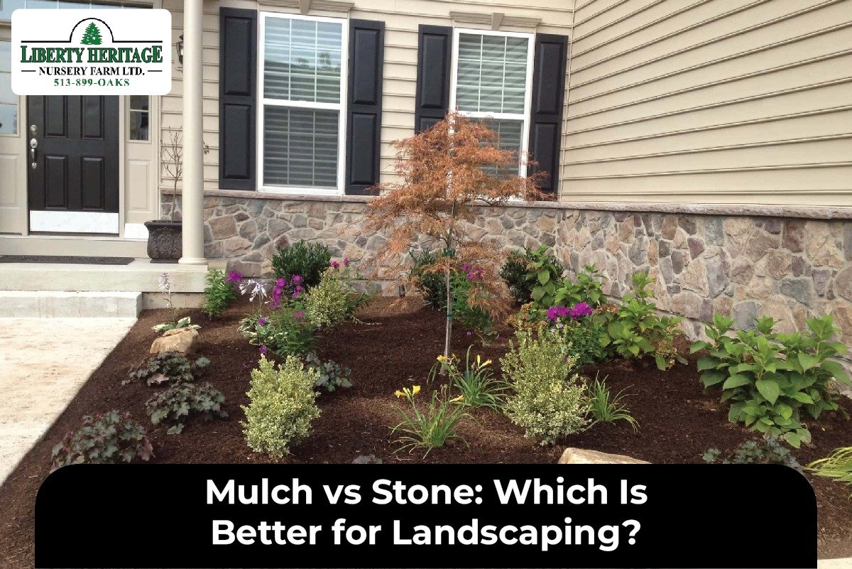 Mulch vs Stone: Which Is Better for Landscaping?