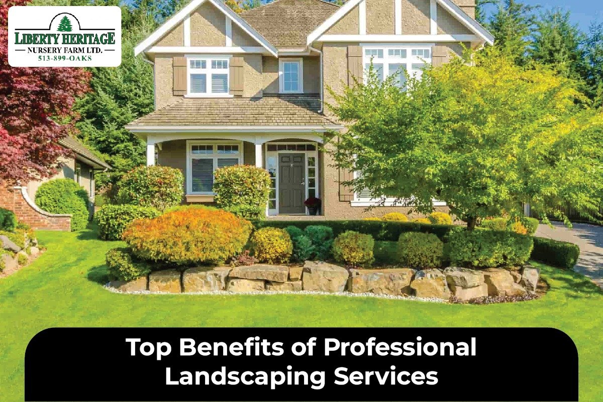 Top Benefits of Professional Landscaping Services