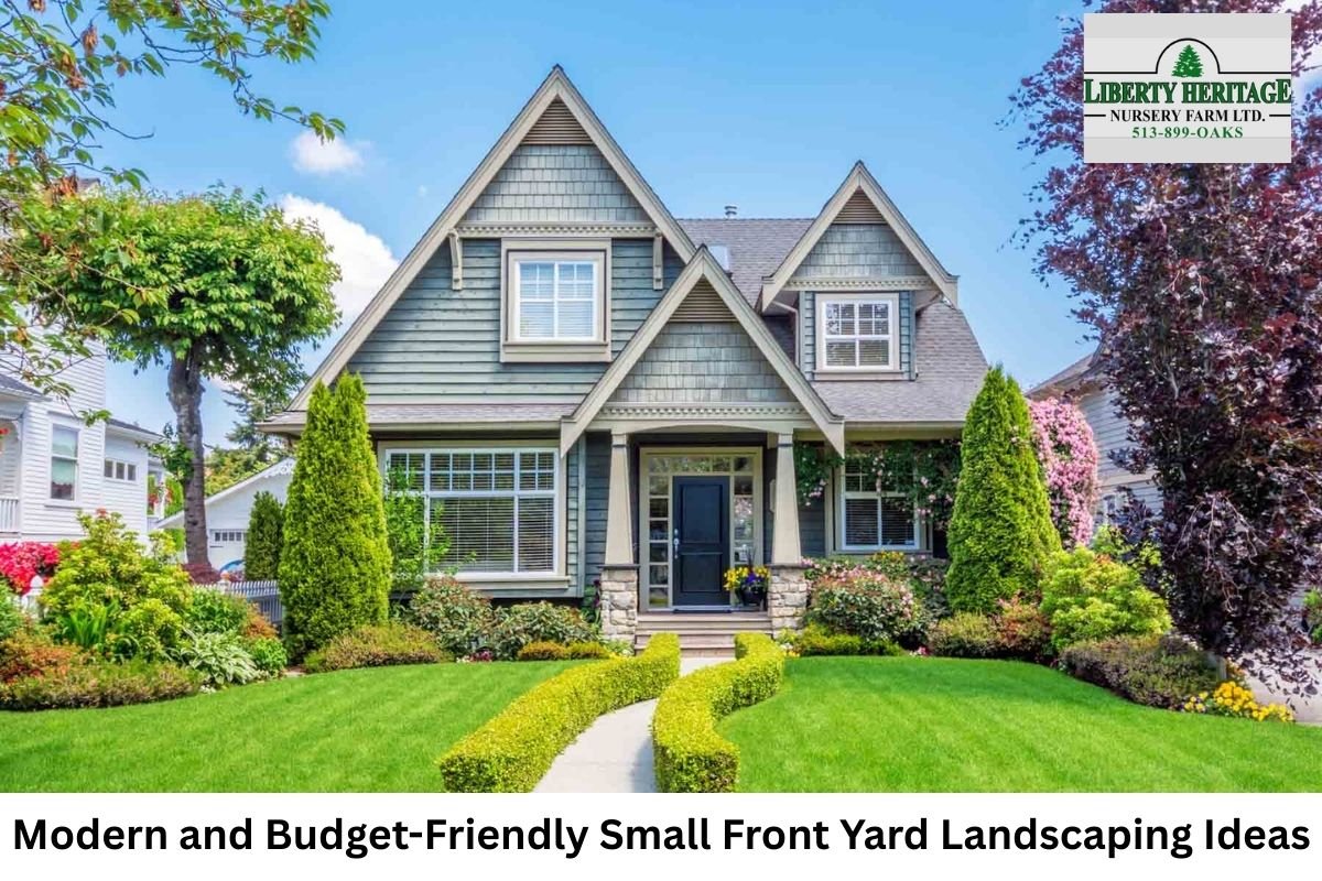Modern and Budget-Friendly Small Front Yard Landscaping Ideas