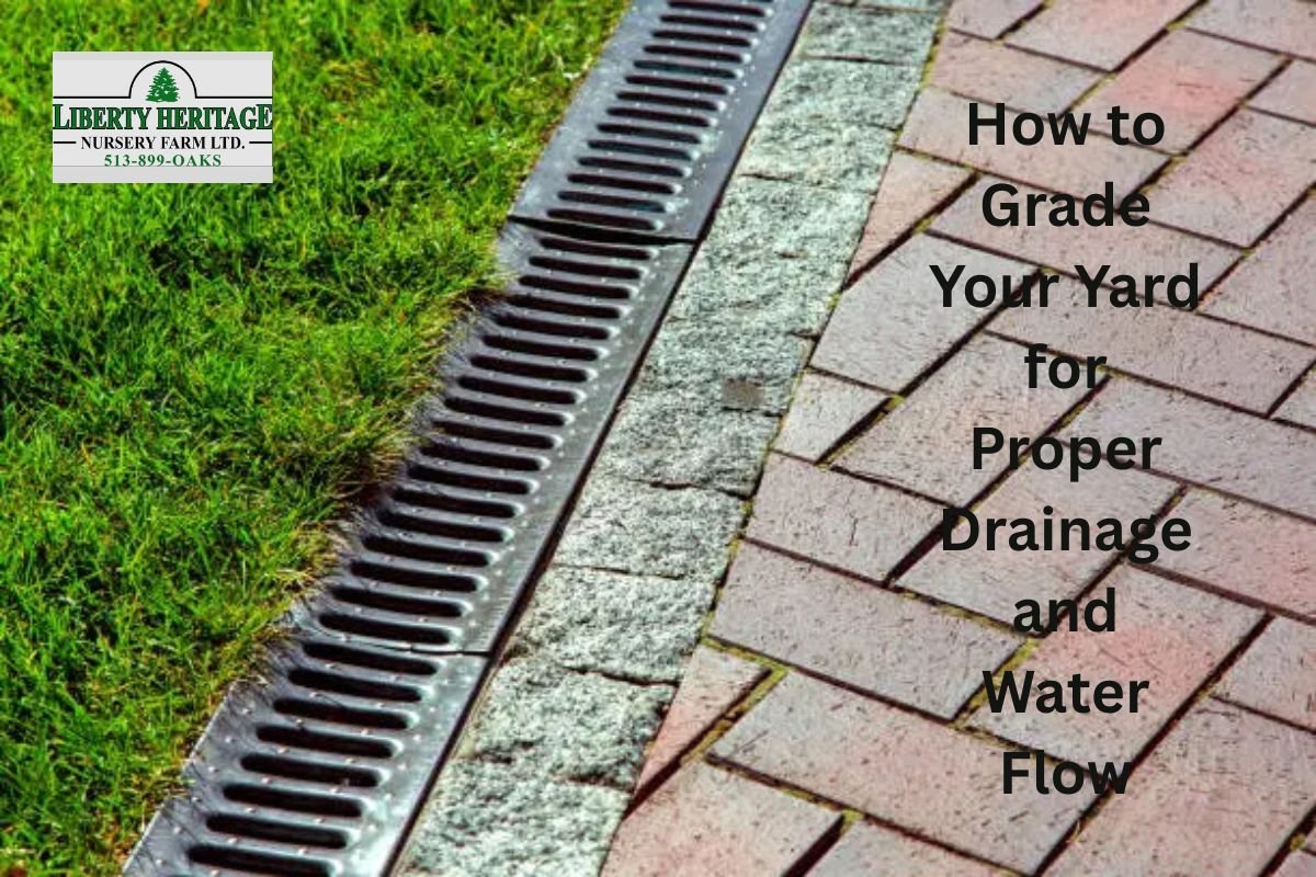 How to Grade Your Yard for Proper Drainage and Water Flow